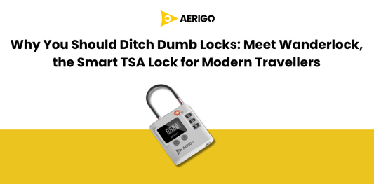 Why You Should Ditch Dumb Locks: Meet Wanderlock, the Smart TSA Lock for Modern Travellers?